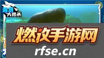 上古卷轴捏脸预设导入技巧与优化心得，如何打造独特角色外观