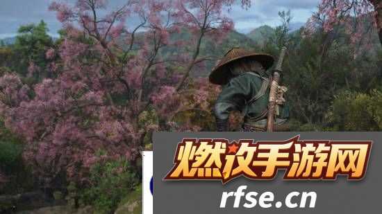 本站